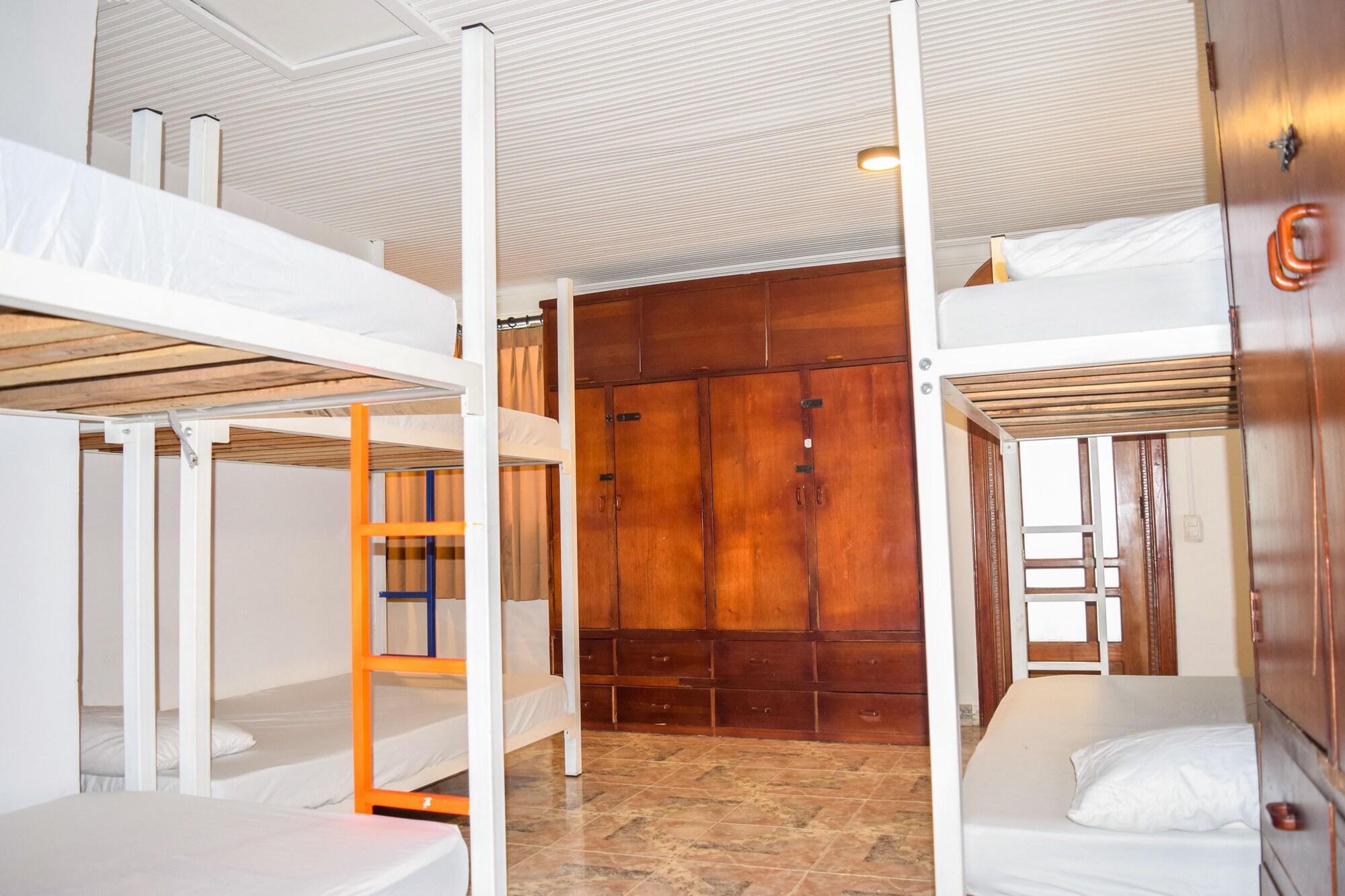 Wonderland By Gb Collection Cartagena