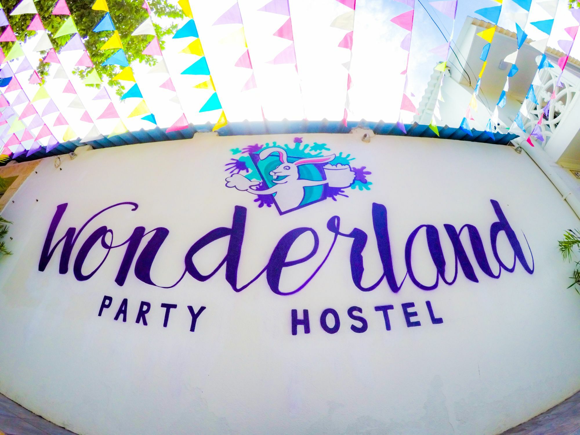 Wonderland By Gb Collection 2*