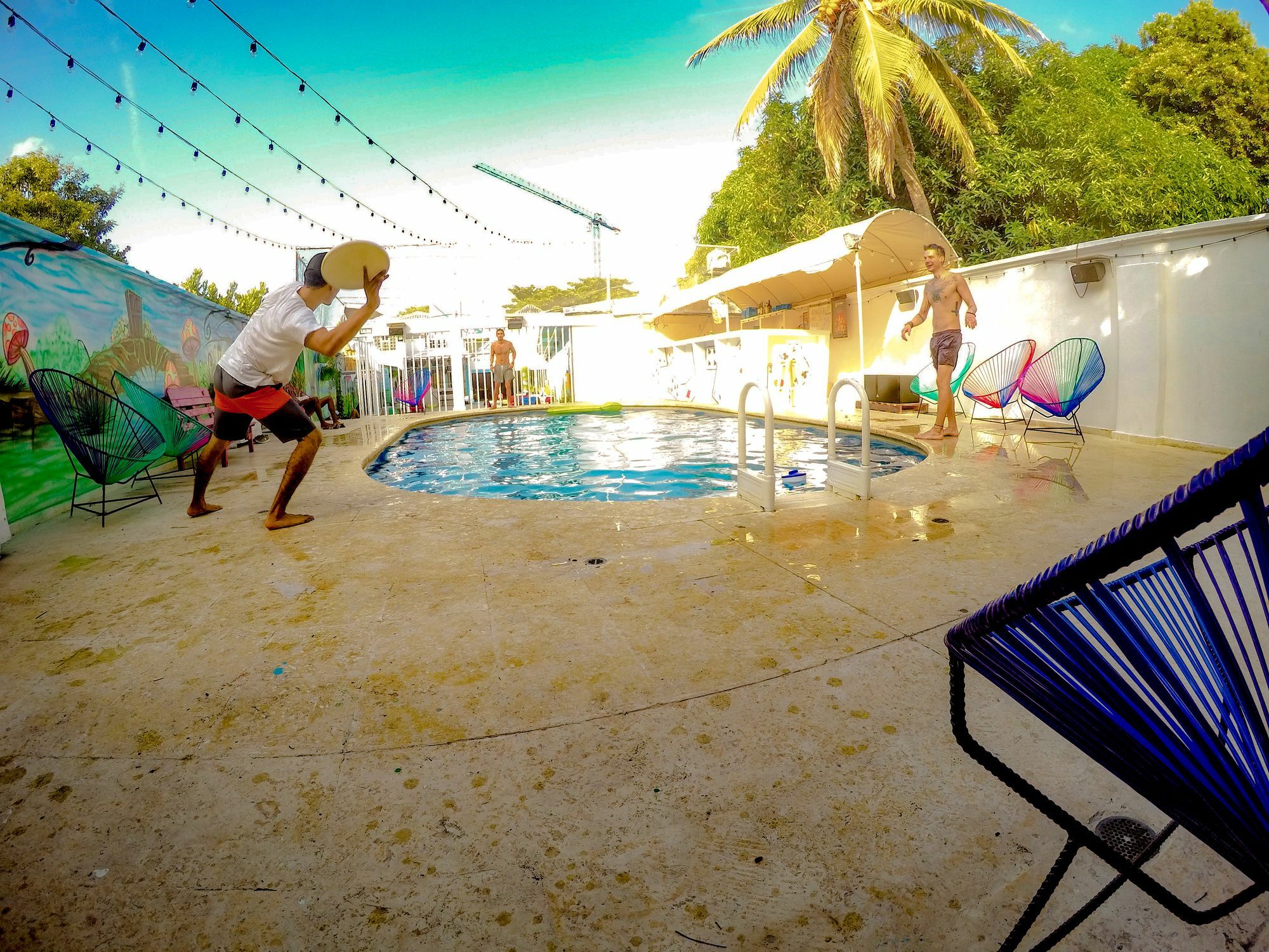 Wonderland By Gb Collection Cartagena